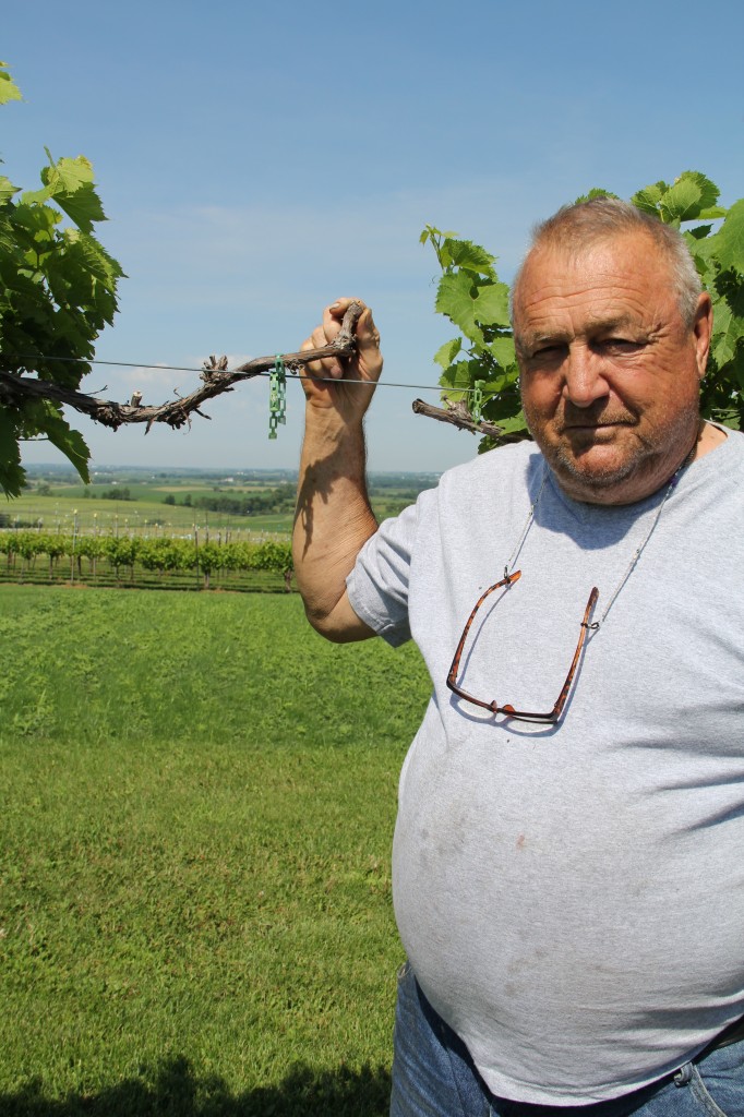 Ted Kearns, a Vietnam veteran and grape grower near Platteville, won a civil case in 2007 against a nearby grain producer after his crop was severely damaged by herbicidal drift.