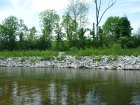 Contaminants from the coal ash ponds are currently entering the Middle Fork through several discolored seeps on the riverbank. The Illinois EPA has issued to Dynegy two violation notices: one in 2012 for polluting the groundwater and another in 2018 for contaminating the Middle Fork