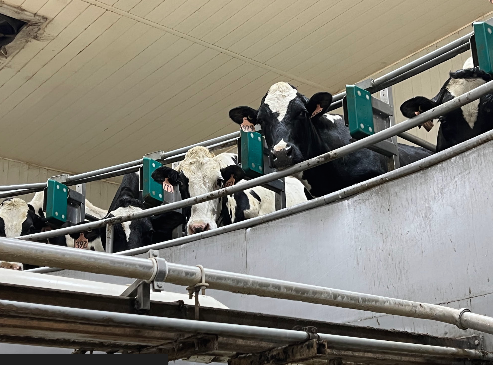 A Wisconsin bill wants to give money to small dairy farms. Industry groups say otherwise.